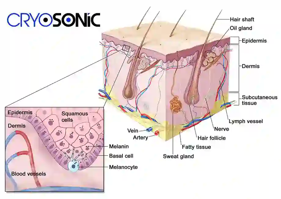 How Cryotherapy Stimulates Melanocyte Activity Shrewsbury